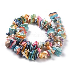 Naturspirale Muschelperlen&nbsp;BSHE-B003-17