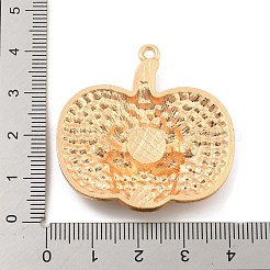 Legierung mit Glasrhinestoneanhänger&nbsp;FIND-B033-01D-G