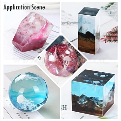 Sealife-Modell&nbsp;LS-DIY-F039-05B-02