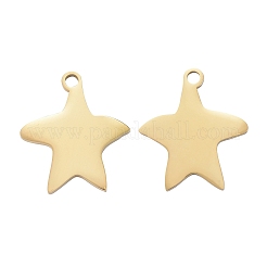 Pendentifs en acier inoxydable 304&nbsp;LS-STAS-I140-13G
