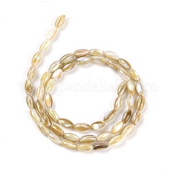 Naturali di acqua dolce perline shell fili&nbsp;X-BSHE-G036-03