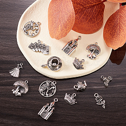 100pcs 10 Arten Märchen Thema tibetischer Stil Legierungsanhänger&nbsp;TIBEP-CJ0001-63