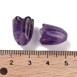 Natürlichen Amethyst Perlen&nbsp;G-A222-03H