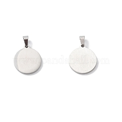 Acciaio inossidabile 304 con pendenti in conchiglia di paua&nbsp;STAS-G268-02E-P