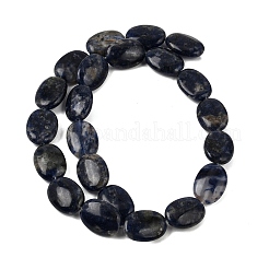 Chapelets de perles en sodalite naturelle&nbsp;GG-CBA0487-C01-18x13mm