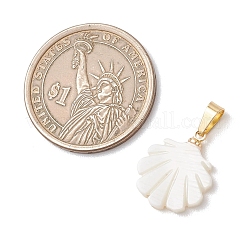 Naturali di acqua dolce pendenti shell&nbsp;PALLOY-JF05137-02