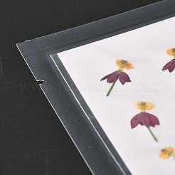Blutblume Wolfsmilch gepresste Trockenblumen&nbsp;DIY-K032-59