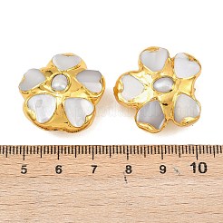 Perlas naturales y cuentas de concha blanca&nbsp;KK-H516-10G
