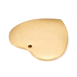 Anhänger aus Edelstahl 304&nbsp;LS-STAS-L238-099B-G