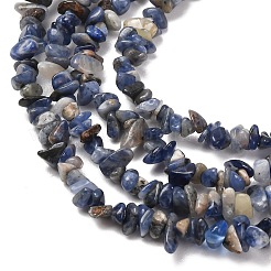 Chip sodalite naturali fili di perline&nbsp;LS-F024