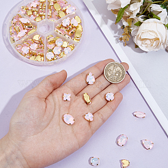 106 Stück 6 Stil Strass zum Aufnähen&nbsp;FIND-OC0004-09C