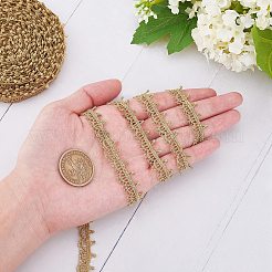 Nylonband mit Spitzenbesatz&nbsp;SRIB-WH0007-01