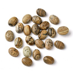 Cabochons en jaspe avec motif naturel, ovale, 8~8.5x6~6.5x2.5~3.5mm