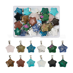 Yilisi 24pcs 12 estilos estrella colgantes de piedras preciosas naturales y sintéticas, con fornituras de latón de tono platino, 22~23x20~24x5~7mm, agujero: 2x7 mm, 2 piezas / style