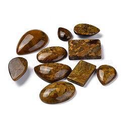 Cabochons en pietersite naturel, larme & ovale & rectangle, 29~52x18.5~35.5x6~12mm