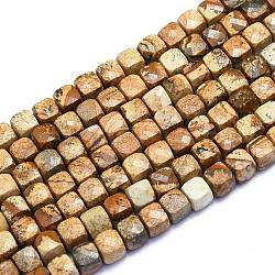 Chapelets de perles en jaspe avec images naturelles, cube, facette, 6~7x6~7x6~7mm, Trou: 1mm, Environ 58 pcs/chapelet, 15.55 pouce (39.5 cm)