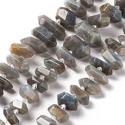 Chapelets de perles en labradorite naturelle , facette, pointu/puce à double terminaison, 19~34x9~16x5.5~14.5mm, Trou: 2mm, Environ 28~29 pcs/chapelet, 15.55~16.34 pouce (39.5~41.5 cm)