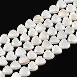 Eau douce naturelle de coquillage perles brins, cœur, 6~7x6.5~7x2.5~3mm, Trou: 0.5mm, Environ 57~58 pcs/chapelet, 14.96 pouce ~ 15.55 pouces (38~39.5 cm)