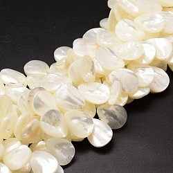Chapelets de perles de coquille de trochid / trochus coquille, perles percées, larme, blanc crème, 20x15x3~4mm, trou: 1 mm environ 40 perle / Chapelet, 15.75 pouce