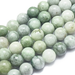 Natürliche myanmarische Jade / burmesische Jade-Perlenstränge, Runde, 8 mm, Bohrung: 1 mm, ca. 49 Stk. / Strang, 15.75 Zoll (40 cm)