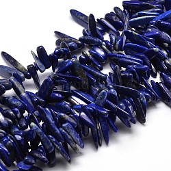 Lapis lazuli naturales nuggets hebras de abalorios, 8~30x5~12mm, agujero: 1 mm, aproximadamente 15.3 pulgada ~ 15.7 pulgadas