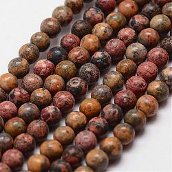 Fili di perline jasper naturali di pelle di leopardo, tondo, 4mm, Foro: 0.5 mm, 100 pcs / Filo, 15.7 pollice