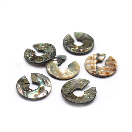 Perles de coquillage paua naturel SSHEL-G020-30-25mm-1