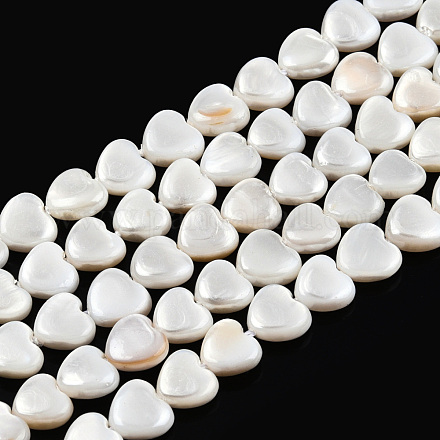 Eau douce naturelle de coquillage perles brins SHEL-N026-220A-1