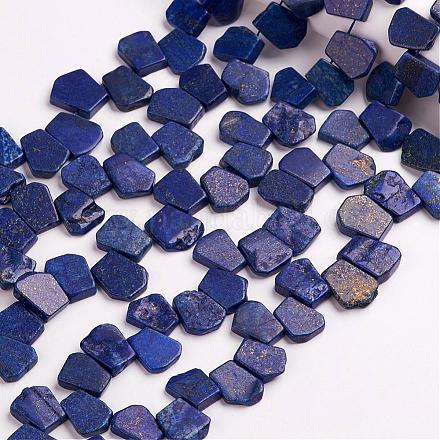 Dyed & Natural Lapis Lazuli Beads Strands G-D835-03-1
