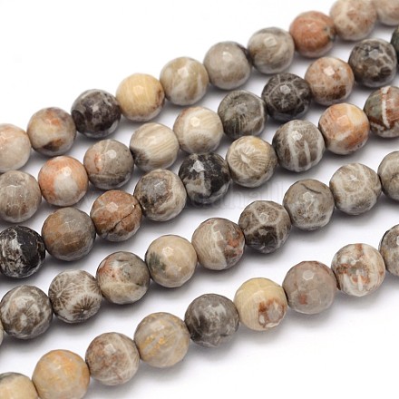 Natural Fossil Coral Round Bead Strands G-O094-08-8mm-1