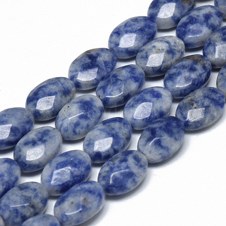Brins de perles de jaspe de tache bleue naturelle G-T070-6x8mm-06-1