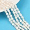 Natural Cultured Freshwater Pearl Beads Strands, Two Sides Polished, Grade 2A+, Antique White, 6~7mm, Hole: 0.6mm, about 44~45pcs/strand, 13.39''~13.58''(34~34.5cm)