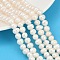 Natural Cultured Freshwater Pearl Beads Strands, Grade A++, Potato, Seashell Color, 6~7mm, Hole: 0.6mm, about 54~59pcs/strand, 13.46~14.49 inch(34.2~36.8cm)