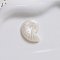 Transparent Resin Cabochons, Conch, Floral White, 28x21.5x5mm