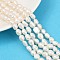 Natural Cultured Freshwater Pearl Beads Strands, Two Sides Polished, Grade 3A+, Seashell Color, 7~8mm, Hole: 0.6mm, about 36~37pcs/strand, 13.54~13.82''(34.4~35.1cm)