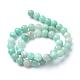 Natural Amazonite Beads Strands G-T055-10mm-17-2