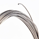 チタン鋼線  ラウンド  ステンレス鋼色  18ゲージ  1mm  約65.62フィート（20m）/バンドル TWIR-WH0002-20C-4