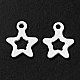 Spray Painted 201 Stainless Steel Charms STAS-G304-29E-2