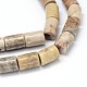 Natural Fossil Coral Prism Bead Strands G-O092-06-2