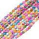 10 Strands Colorful Natural Freshwater Shell Dyed Beads Strands SHEL-M018-05-1