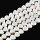 Natural Freshwater Shell Beads Strands SHEL-N026-220A-1