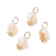 Natural Freshwater Shell Charms PALLOY-JF01657-1