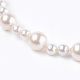 Shell collane di perle perline NJEW-I224-D01-2