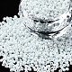 Glass Seed Beads SEED-S060-A-979-8