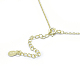925 подвесные стерлингового серебра ожерелья NJEW-F246-16LG-4