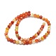 Chapelets de perles en agate à rayures naturelles/agates à bandes G-I254-03B-02-2