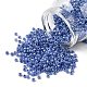 8/0 Glasperlen&nbsp;X1-SEED-A011-3mm-146-1