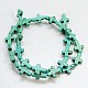 Synthetic Turquoise Beads Strands TURQ-H067-8-01-2