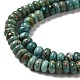 Natural Turquoise Beads Strands G-P506-03C-02-4