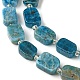Natural Apatite Beads Strands G-C098-A09-01-4